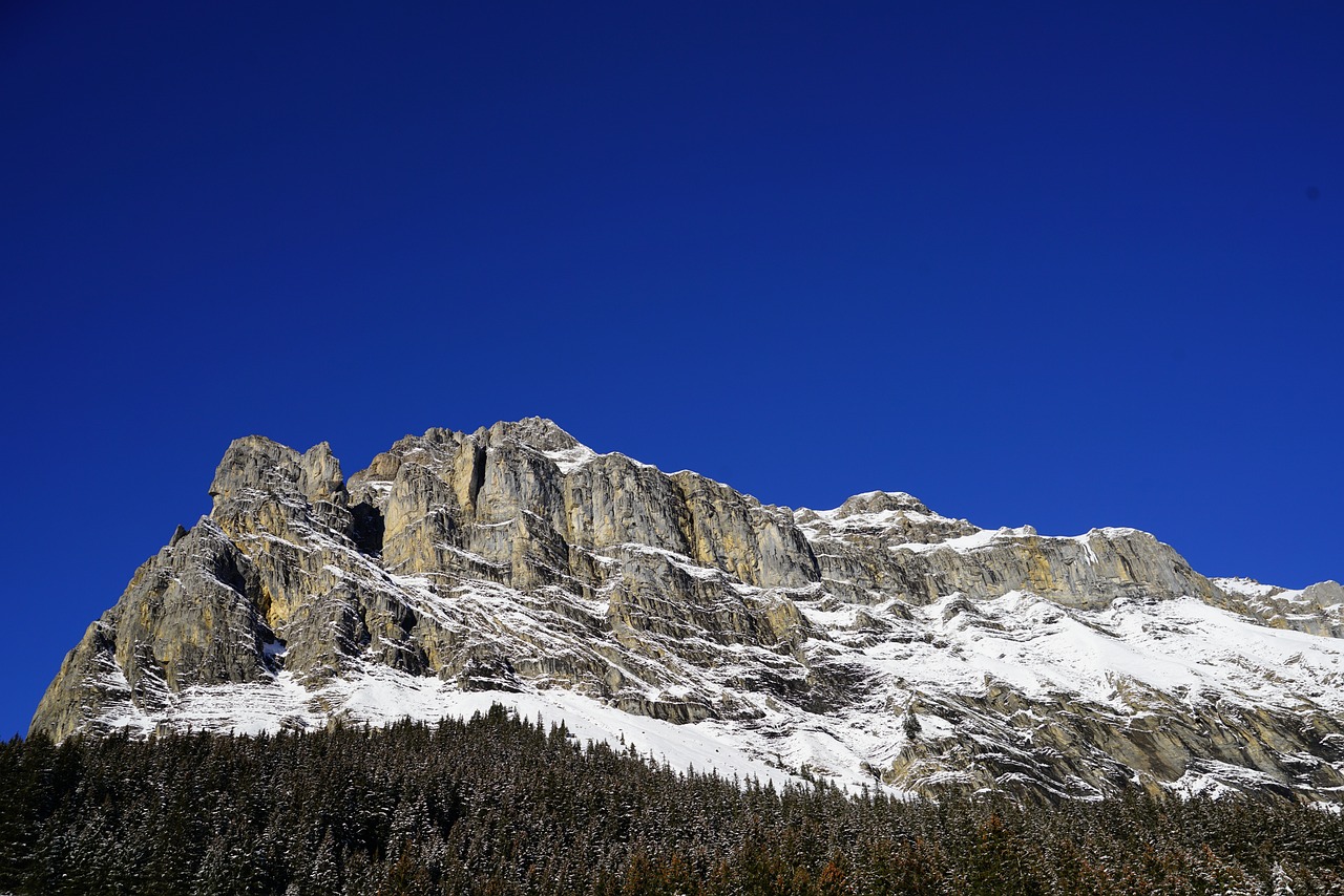 The Ultimate Guide to Rock Climbing in Yosemite